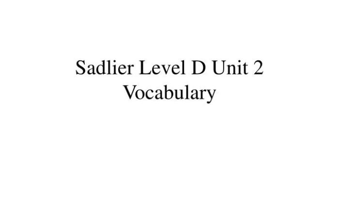 Sadlier level f unit 12