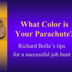 What color is your parachute quiz