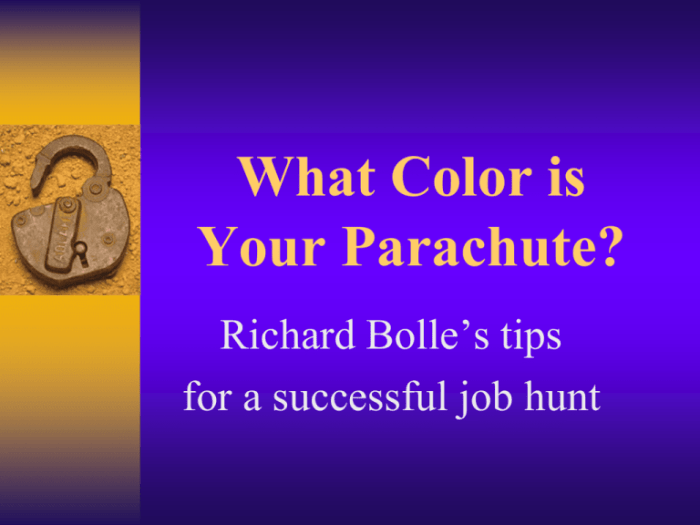 What color is your parachute quiz