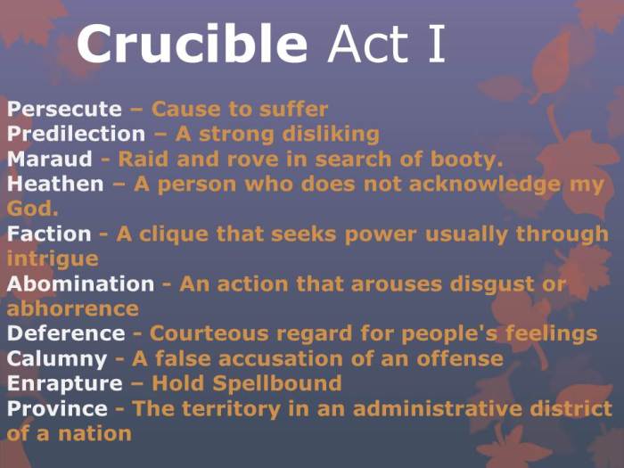 Study guide for the crucible act 1