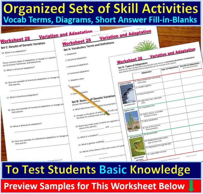 Adaptations and natural selection worksheet