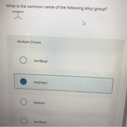 Compound name iupac give below sec branched isobutyl alkyl isopropyl accepted names groups solved butyl tert transcribed problem text been
