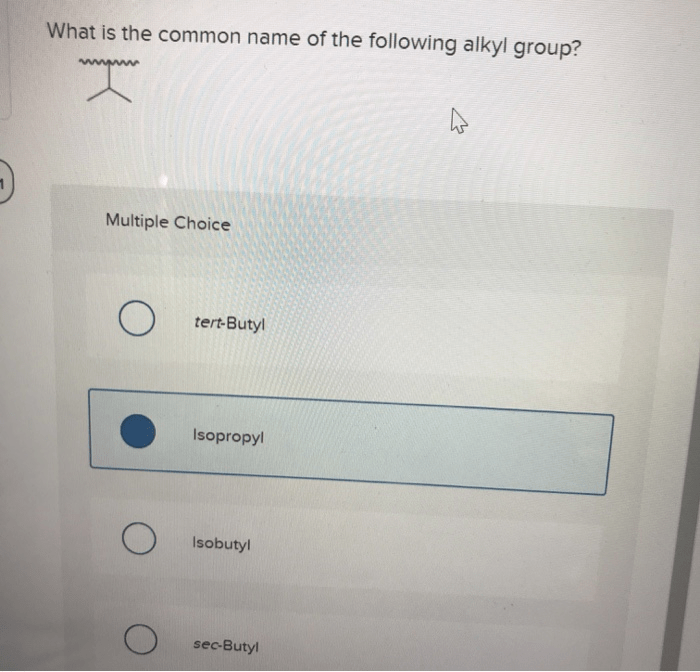 Compound name iupac give below sec branched isobutyl alkyl isopropyl accepted names groups solved butyl tert transcribed problem text been
