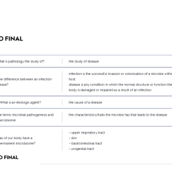 Microeconomics final exam questions and answers pdf