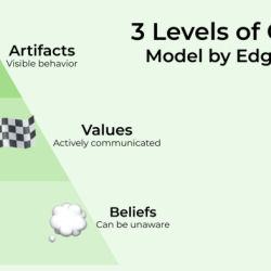 Cultural assumptions are the key artifacts that organizational members hold.