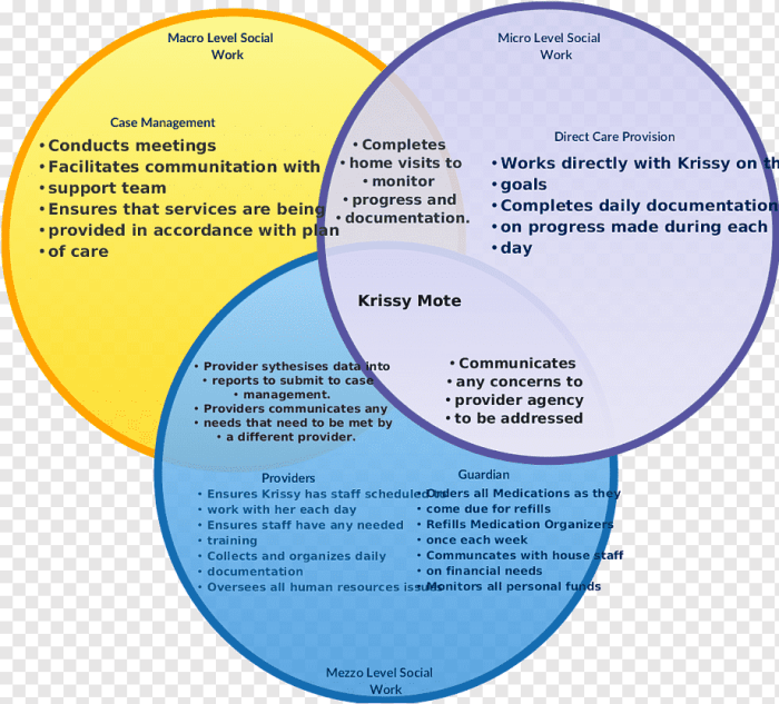 Venn diagram of active and passive transport